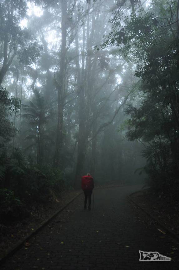 Chegando à portaria de Teresópolis, trecho final da travessia de 30 km e 3 dias através do Parque Nacional da Serra dos Órgãos, no Rio de Janeiro